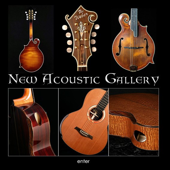 New Acoustic Gallery